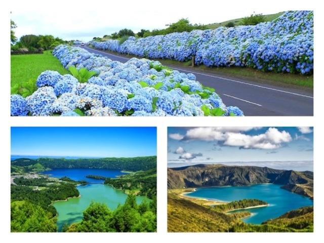 2Stay - A1 Ponta Delgada Eksteriør billede
